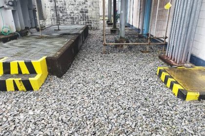 Supressão Vegetativa